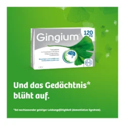 Gingium 120 mg Filmtabletten, 120 St