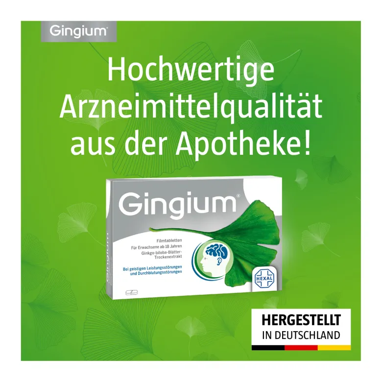Gingium 40 mg Filmtabletten, 120 St
