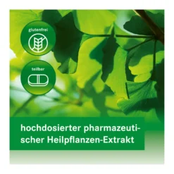 Ginkgovital Heumann 120 mg Filmtabletten, 60 St