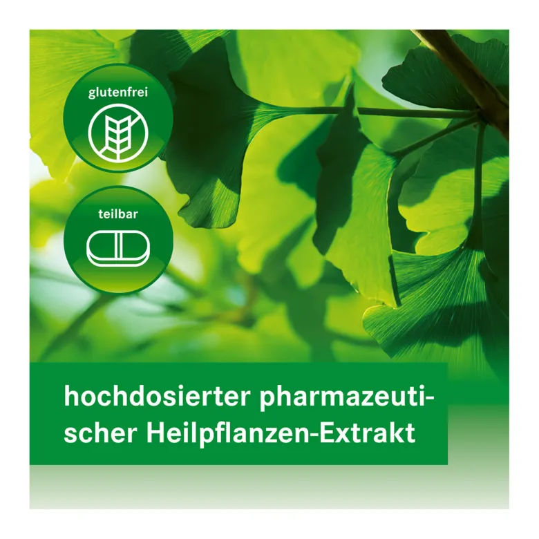 Ginkgovital Heumann 240 mg Filmtabletten, 30 St