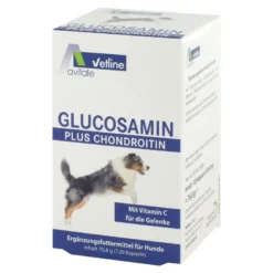 Glucosamin plus Chondroitin, 120 St