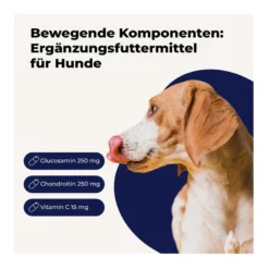 Glucosamin plus Chondroitin, 120 St