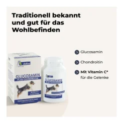Glucosamin plus Chondroitin, 120 St