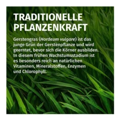 GREEN NATURALS Gerstengras 3000 mg Kapseln vegan, 240 St