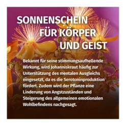GREEN NATURALS Johanniskraut 850 mg hochdosiert Kapseln, 180 St