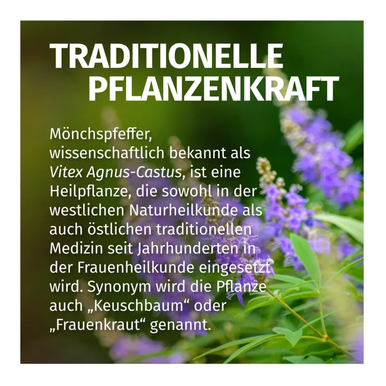 GREEN NATURALS Mönchspfeffer 20 mg hochdosierte Kapseln, 180 St