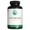 Green Naturals Nattokinase 100 mg vegane Kapseln, 365 St