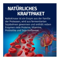 Green Naturals Nattokinase 100 mg vegane Kapseln, 365 St
