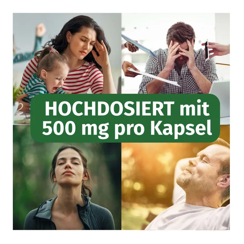 Green Naturals Rhodiola Rosea 500 mg hochdosierte Kapseln, 120 St