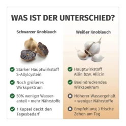 GREEN NATURALS Schwarzer Knoblauch Kapseln, 180 St