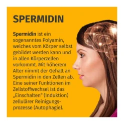 GREEN NATURALS Spermidin forte 5,5 mg vegane Kapseln, 90 St