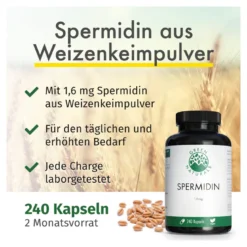 GREEN NATURALS Spermidin 1,6 mg Kapseln, 240 St