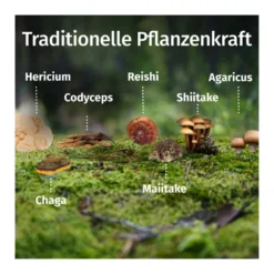 GREEN NATURALS Vital Pilze vegane Kapseln, 180 St