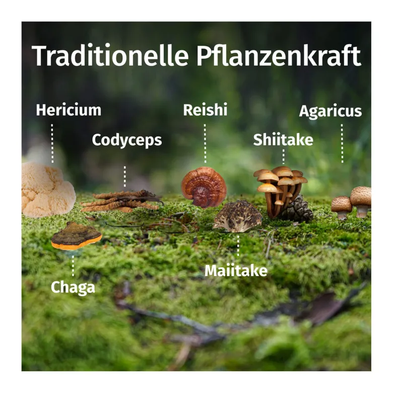 GREEN NATURALS Vital Pilze vegane Kapseln, 180 St