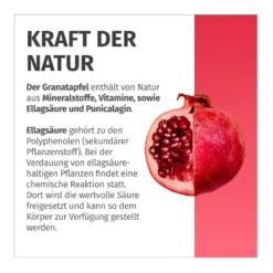 Green Naturlas Granatapfel Kapseln, 180 St