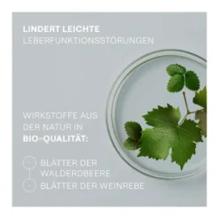 Hepatodoron Tabletten, 200 St