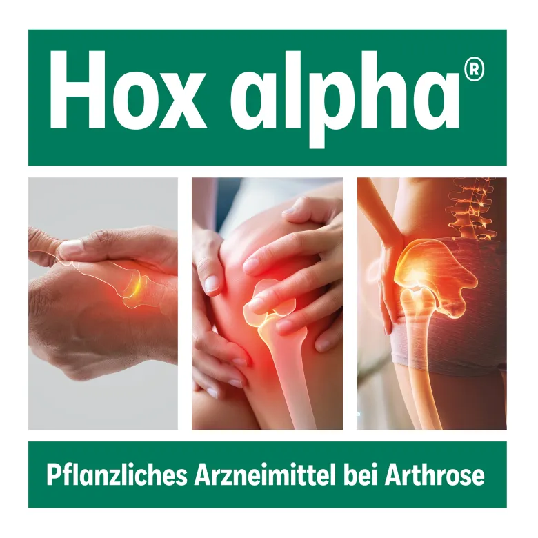 Hox alpha Hartkapseln, 50 St