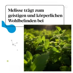 IberoBiotics Zen Kapseln, 2X14 St