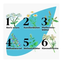Iberogast Advance - bei häufigen Magen-Darm-Beschwerden, 50 ml