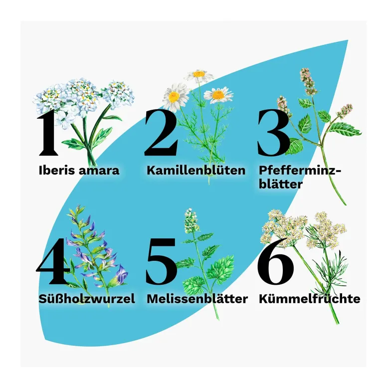 Iberogast Advance - bei häufigen Magen-Darm-Beschwerden, 50 ml