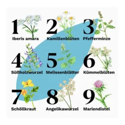 Iberogast Classic - bei akuten Magen-Darm-Beschwerden, 2x50 ml