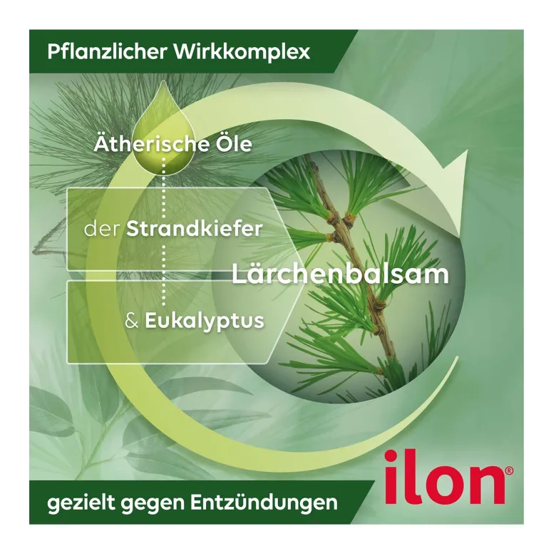 Ilon Salbe classic bei leichten Entzündungen der Haut, 50 g