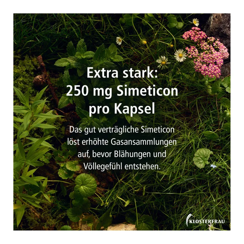 Klosterfrau Magen-Darm Entspannung Kapseln, 20 St