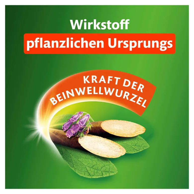Kytta Schmerzsalbe, 100 g