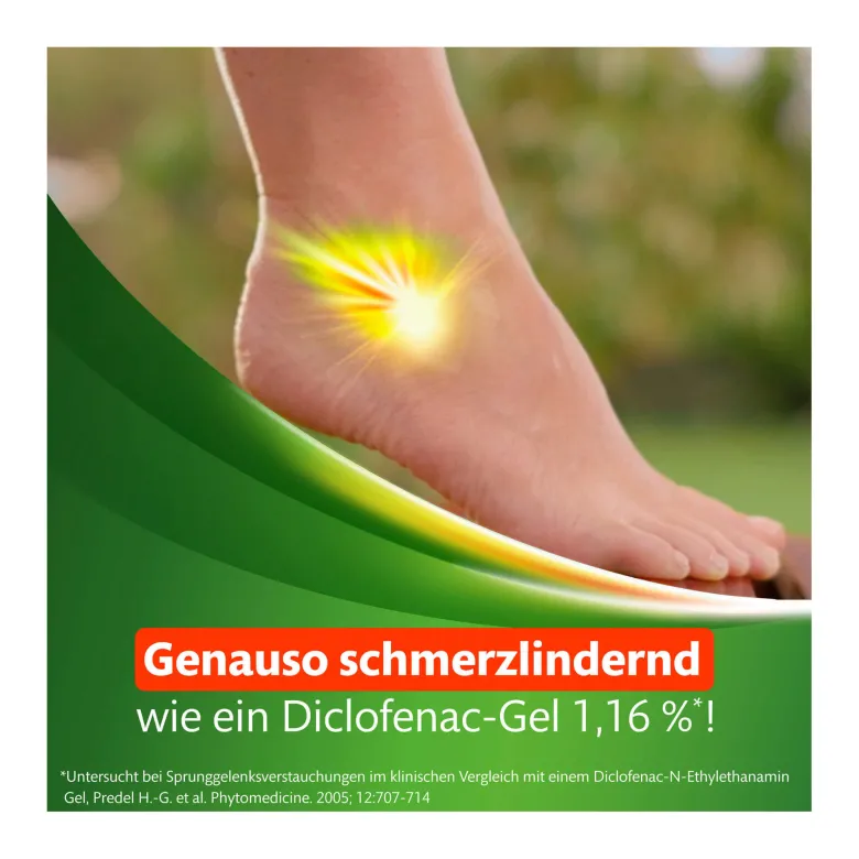 Kytta Schmerzsalbe, 100 g