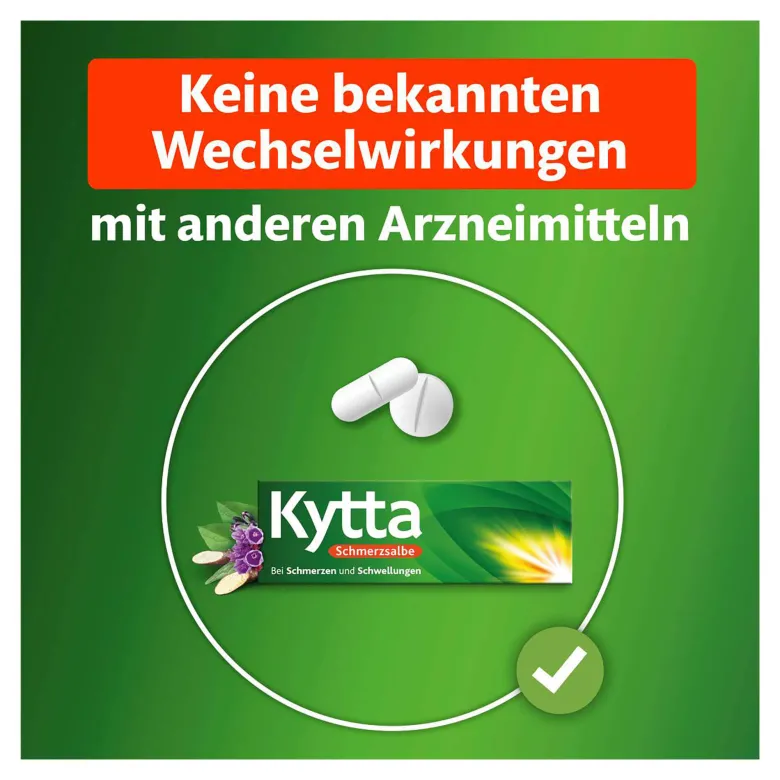 Kytta Schmerzsalbe, 100 g
