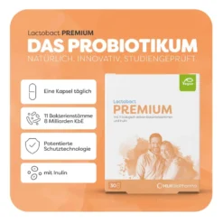 Lactobact PREMIUM Kapseln, 30 St