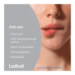 Ladival Aktiv UV-Schutzstift Lippen LSF50+, 1 St