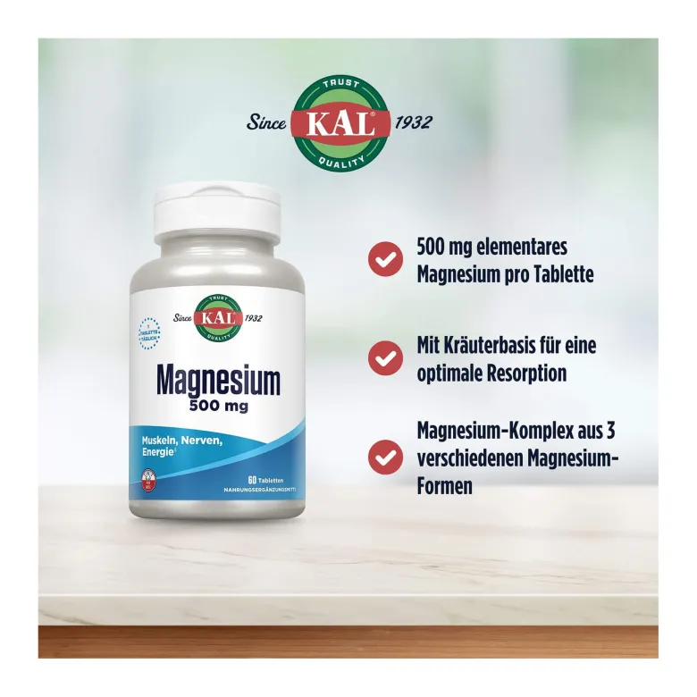 Magnesium 500 mg Tabletten, 60 St
