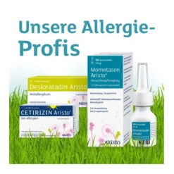 Mometason Aristo Heuschnupfenspray, 18 g