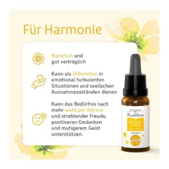 Murnauer Bachblüten Original Tropfen ohne Alkohol, 20 ml