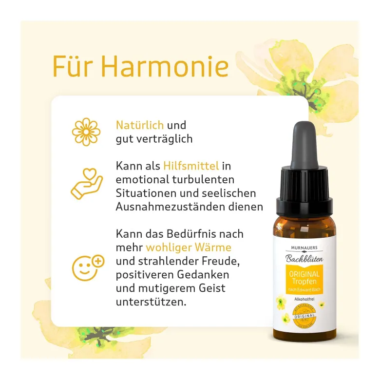 Murnauer Bachblüten Original Tropfen ohne Alkohol, 20 ml
