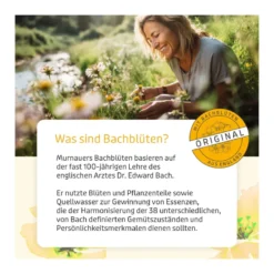 Murnauer Bachblüten Original Tropfen ohne Alkohol, 20 ml