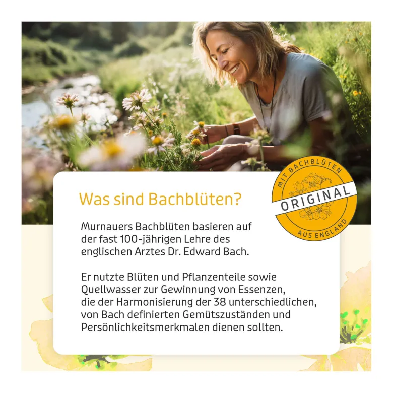 Murnauer Bachblüten Original Tropfen ohne Alkohol, 20 ml