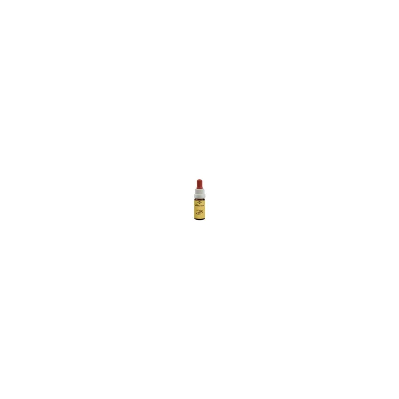 Murnauers Bachblüten Agrimony, 20 ml