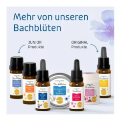 Murnauers Bachblüten Bonbons Du schaffst das, 50 g
