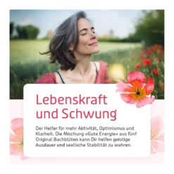 Murnauers Bachblüten Gute Energie Tropfen, 20 ml
