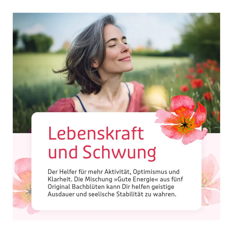 Murnauers Bachblüten Gute Energie Tropfen, 20 ml