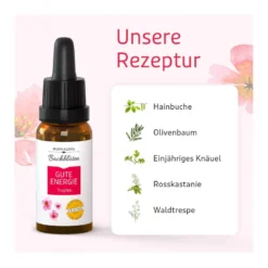 Murnauers Bachblüten Gute Energie Tropfen, 20 ml