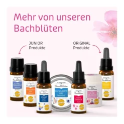 Murnauers Bachblüten Gute Energie Tropfen, 20 ml