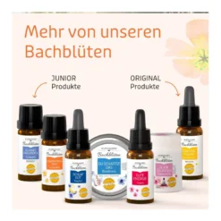 Murnauers Bachblüten Konzentrier Dich Globulini, 10 g