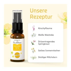 Murnauers Bachblüten Original Spray nach Dr. Bach, 20 ml