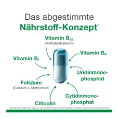 neuroLoges concept Kapseln, 60 St
