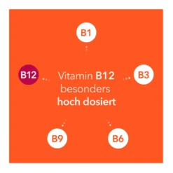 Neuropax-ratiopharm forte Kapseln, 80 St