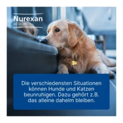 Nurexan ad us. vet. Tabletten, 100 St