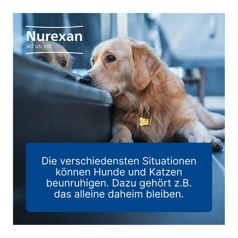 Nurexan ad us. vet. Tabletten, 100 St